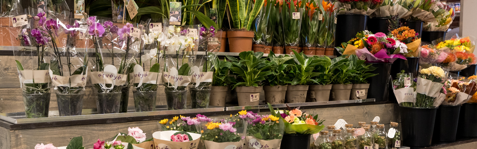 frische Blumen